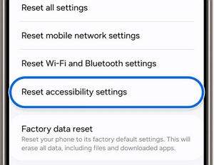 Reset accessibility | how to factory reset a Samsung Galaxy tablet