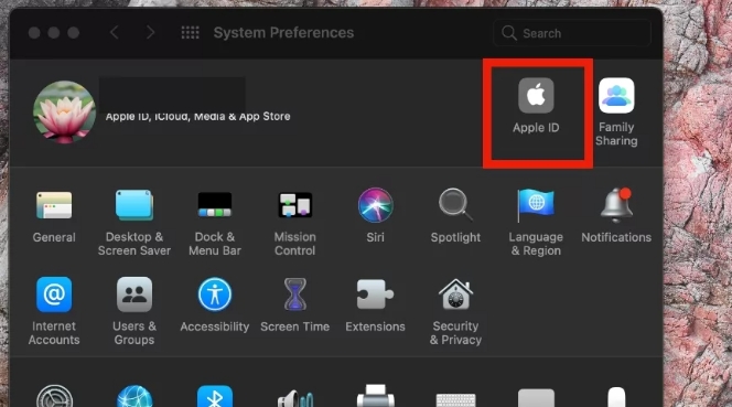 click Apple ID | iPhone Correct Passcode Not Working