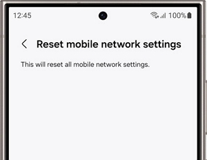 selecting Reset | how to factory reset a Samsung Galaxy tablet