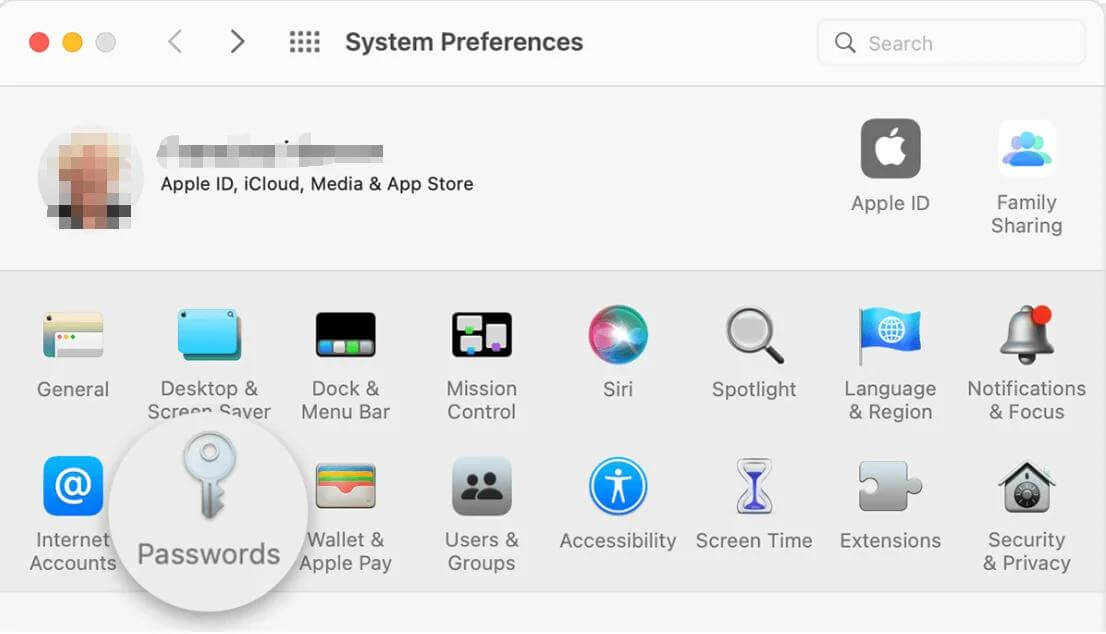 find Apple ID password via Mac keychain | Find Apple ID Password without Resetting It