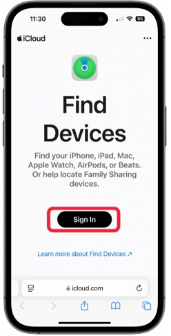 sign into iCloud in Find My app | Unlock iPhone 12 Without Passcode or iCloud