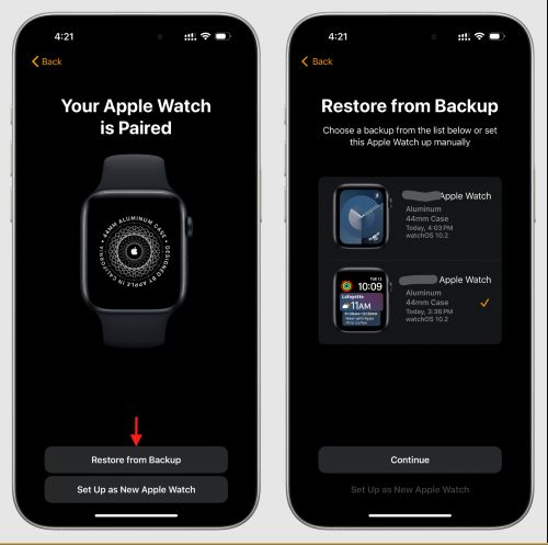 choose Restore from Backup | Turn off Downtime on Apple Watch