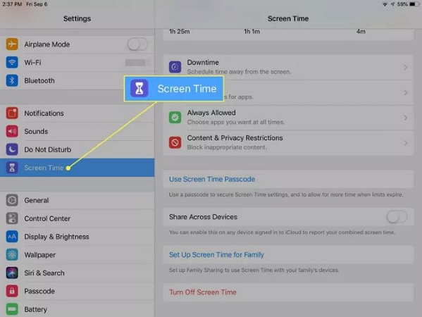 choose Screen Time | Turn Off Restrictions on iPad