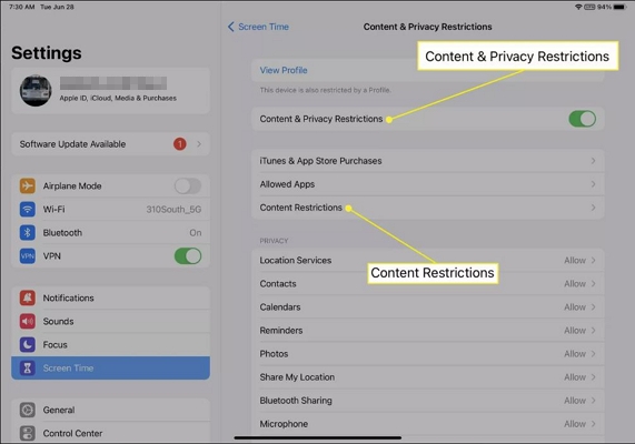 toggle off Content and Privacy Restrictions | Turn Off Restrictions on iPad