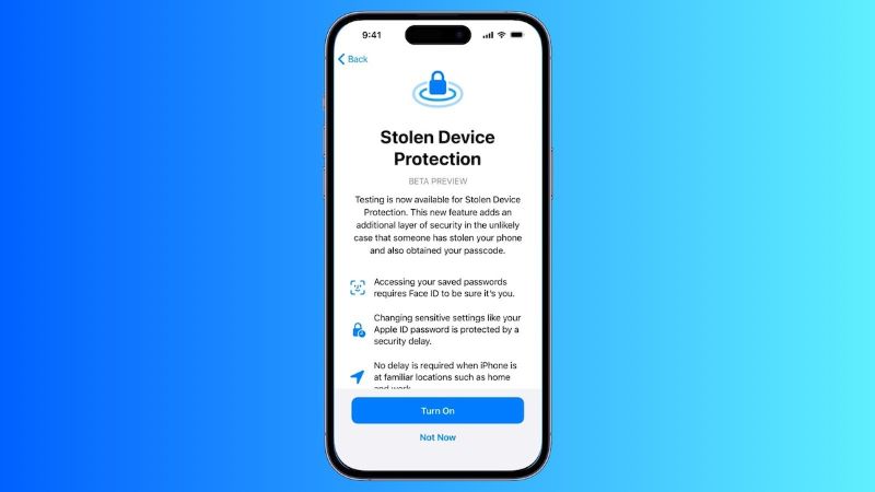 advantages | Turn off Security Delay on iPhone