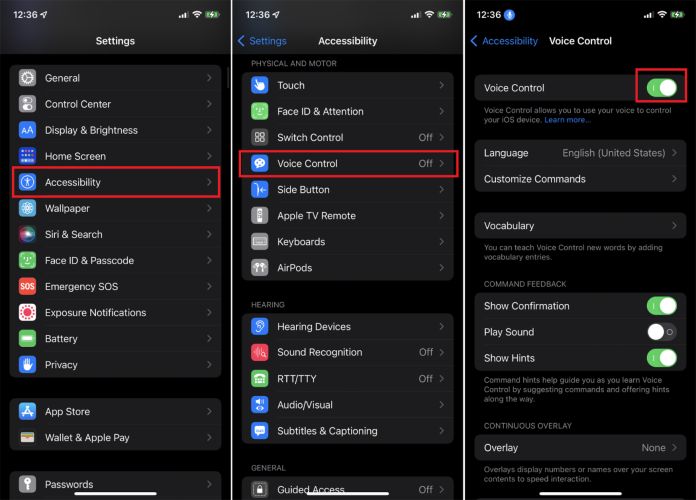 enable Voice Control | Unlock iPhone with Broken Screen
