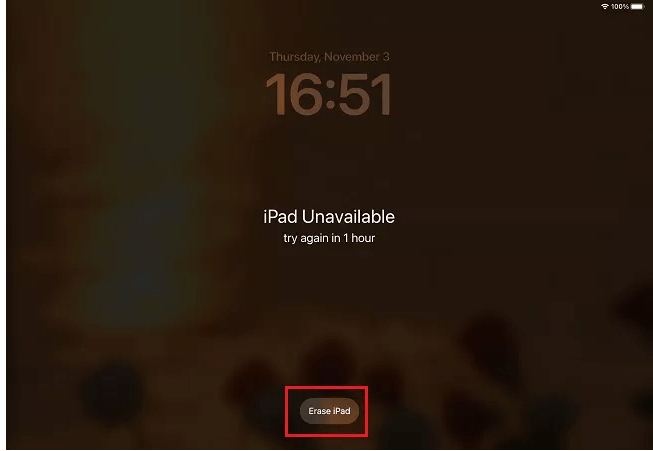 iPad の消去オプション | iPad が設定したことのないパスコードを要求する