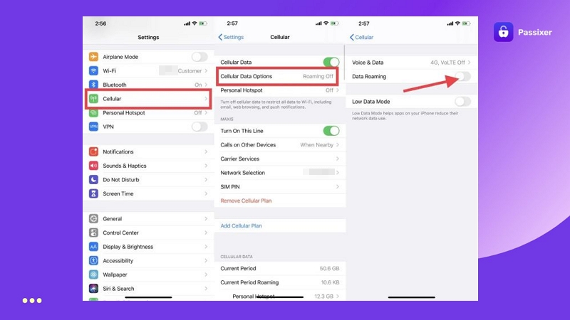 international roaming | unlock iPhone carrier