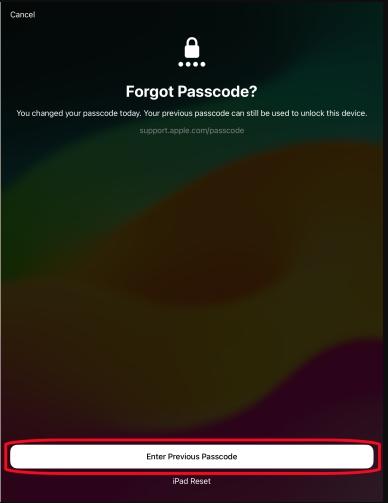 choose Start iPad Reset | iPad Requires Passcode After Restarting